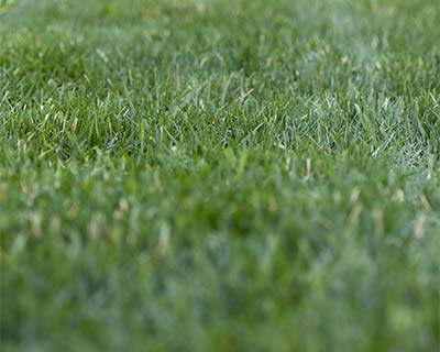 Artificial Turf, Gulf Breeze, AL Artificial Turf, Gulf Breeze, AL