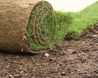 Artificial Turf, Troy, AL