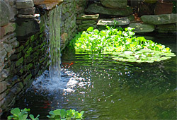 Ponds & Waterfalls