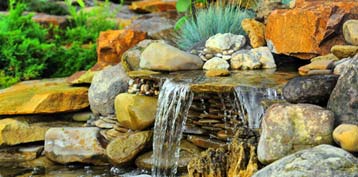 Ponds & Waterfalls